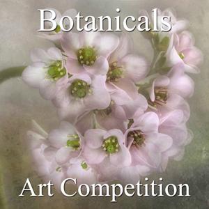 Call For Entries  Botanical And Floral Online Art Competition